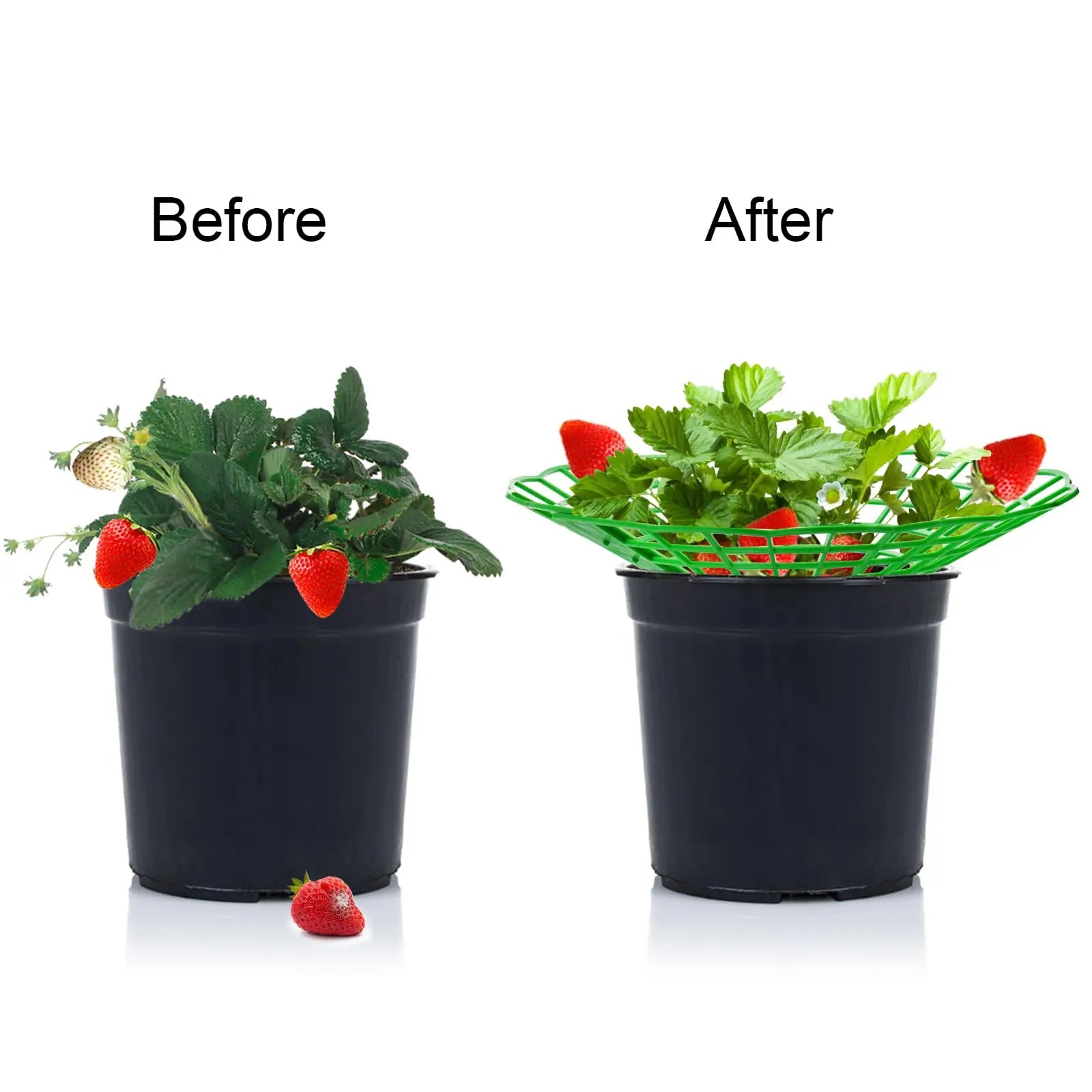 10PCS Vegetable Growing Rack Garden Tools Strawberry Supports With 3 Sturdy Support Feet Keeping Plant Fruit Stand Peaceful Pleasures Health and Wellness