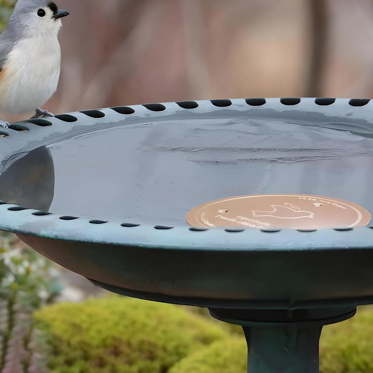 Universal Bird Bath Copper Disk Bird Bath Purification Disk With 3 Point Support Metal Cleaner Disks For Outdoor Bird Bath Tubs Peaceful Pleasures Health and Wellness