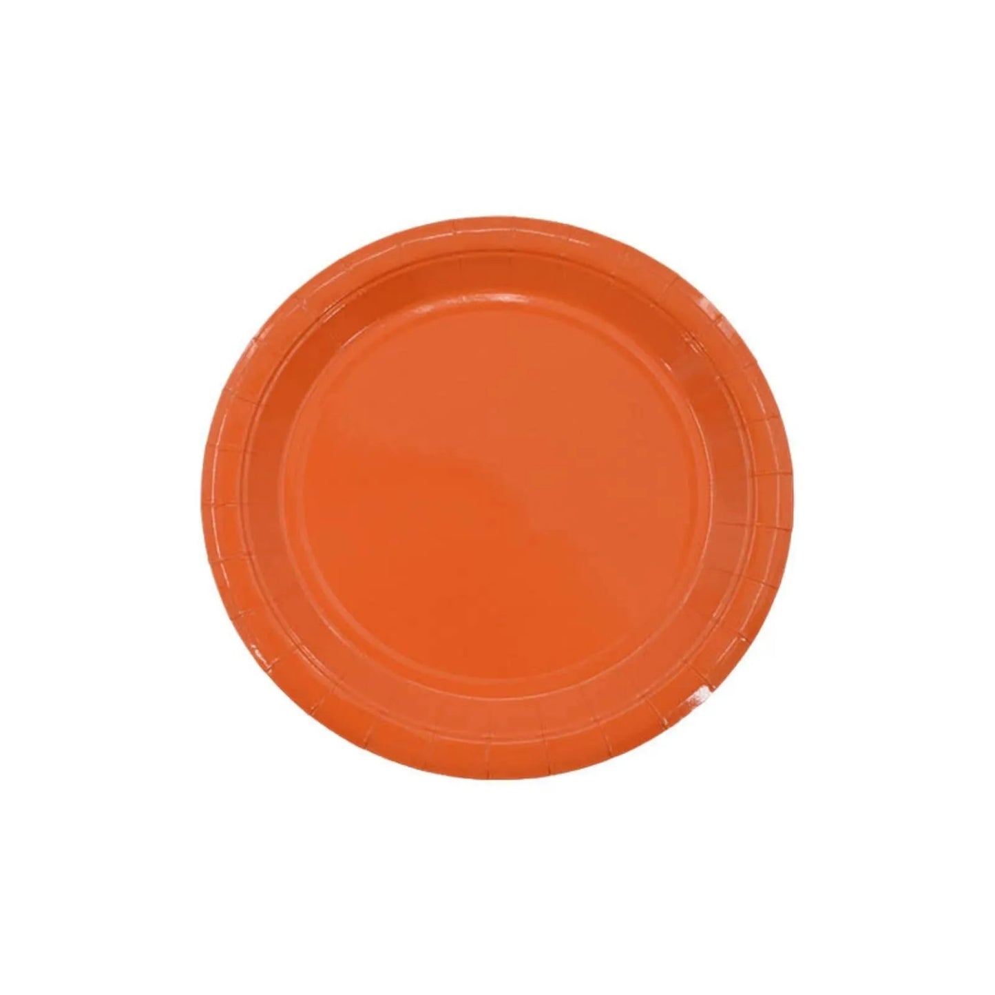 9-Inch Disposable Paper Plates Pack of 10 | Parties & Outdoor