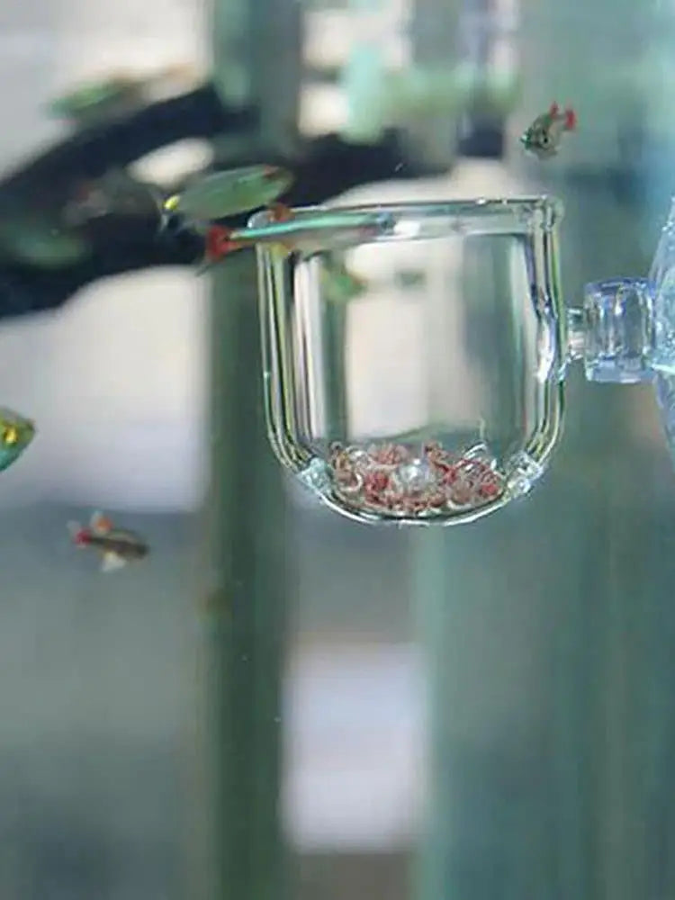 Acrylic Aquarium Plant Cup with Suction Cup Holder | Fish Tank