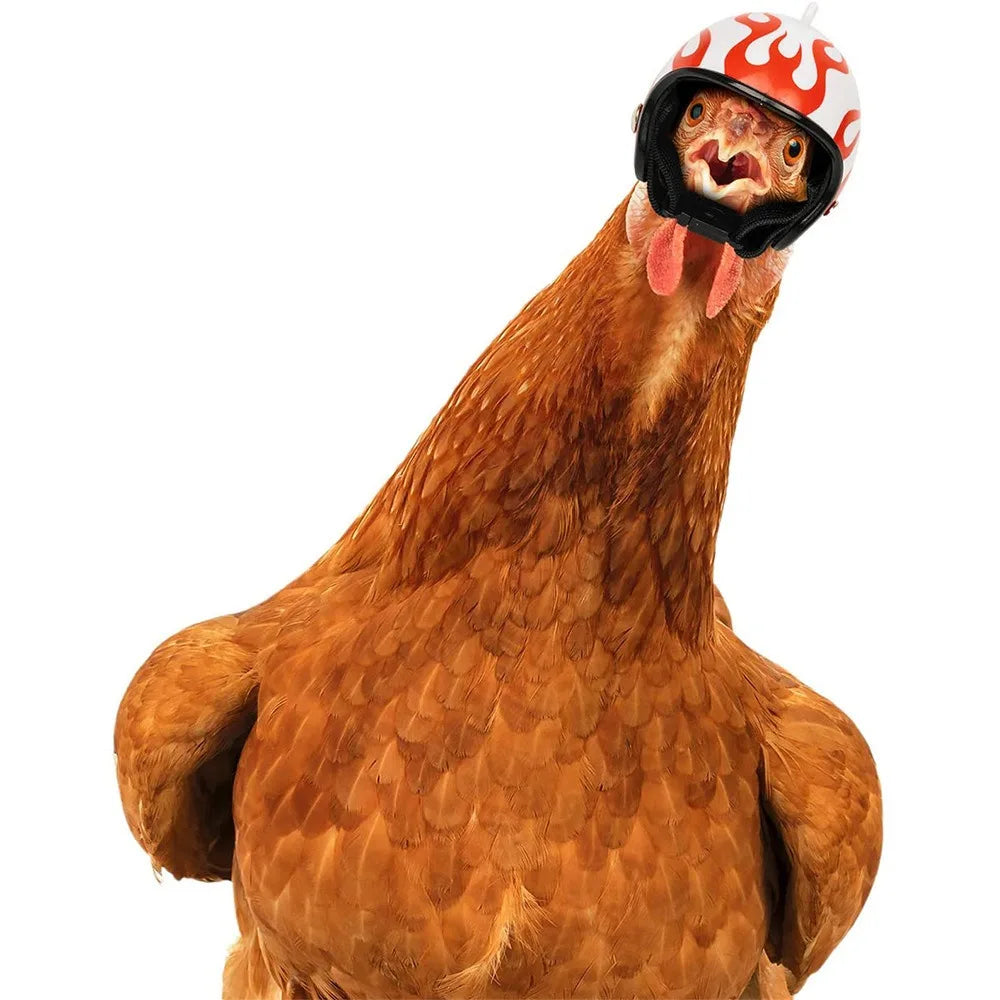 Farm Pet Chicken Helmet Sun Rain Protection Cute Hat for Hens Outdoor Henhouse Protective Gear Fighting Cock Funny Pet Toys Peaceful Pleasures Health and Wellness