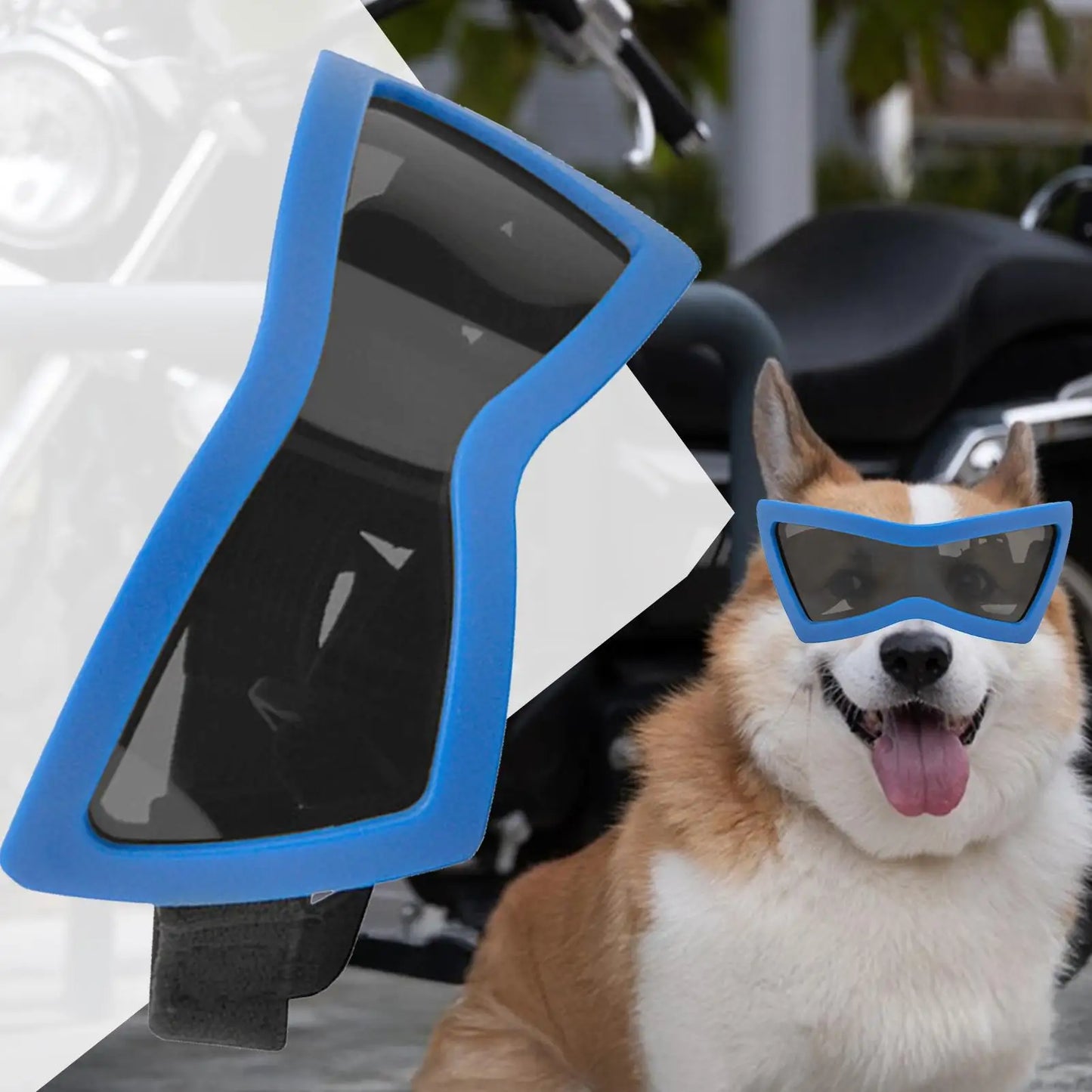 Dog Sunglasses UV Protection – Windproof Eyewear Small Breeds