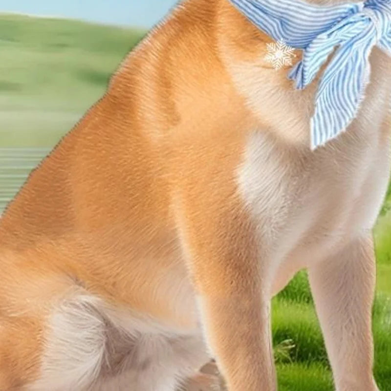 Dog Cooling Bib – Reusable Breathable Adjustable Pet Collar