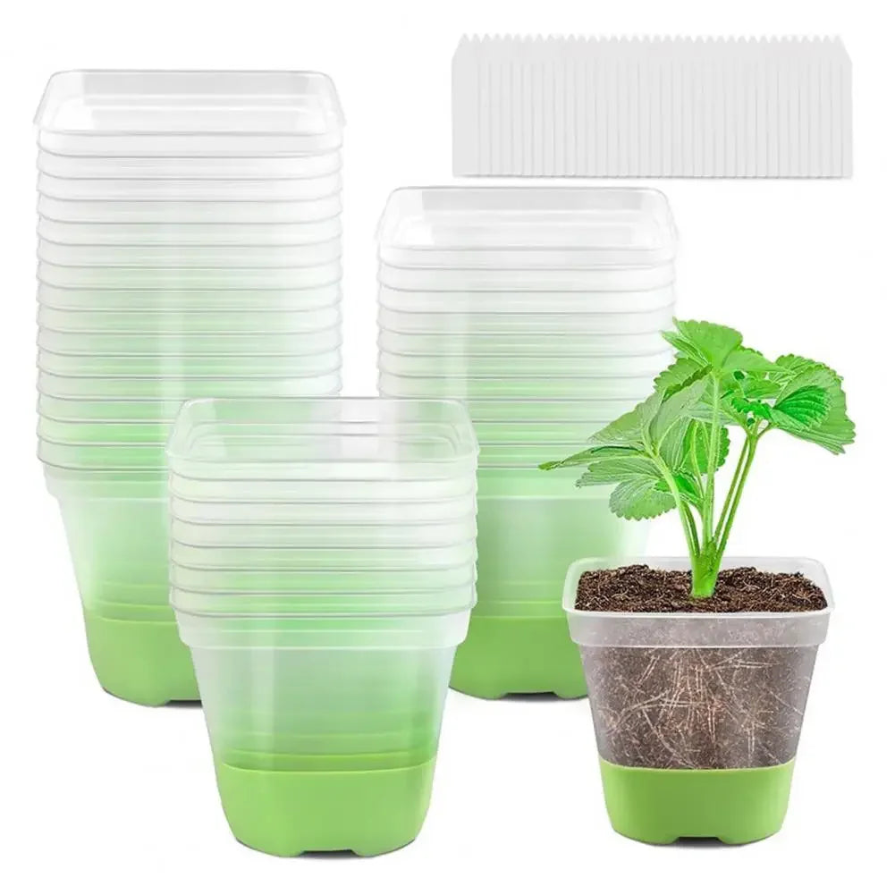 6 plastic square flower pots, transparent planting and seedling pots, reusable, breathable with silicone bottom and label Peaceful Pleasures Health and Wellness