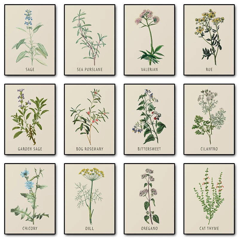 Vintage Botanical Herb & Flower Canvas Wall Art Poster Canvas Wall Art Peaceful Pleasures Health and Wellness