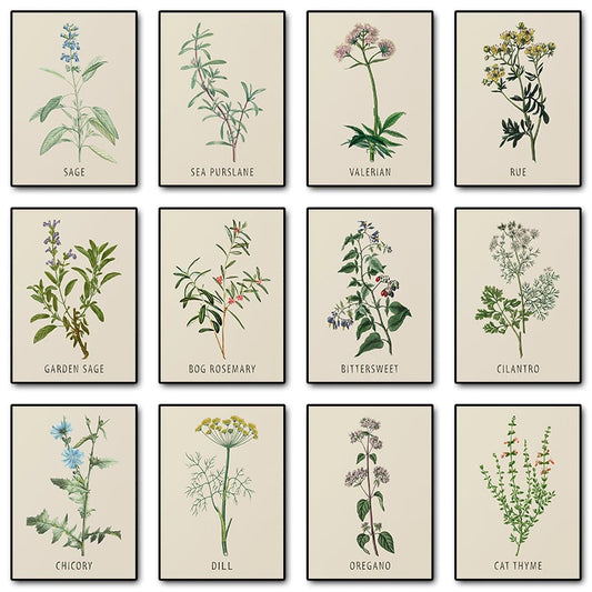 Vintage Botanical Herb & Flower Canvas Wall Art Poster Canvas Wall Art Peaceful Pleasures Health and Wellness