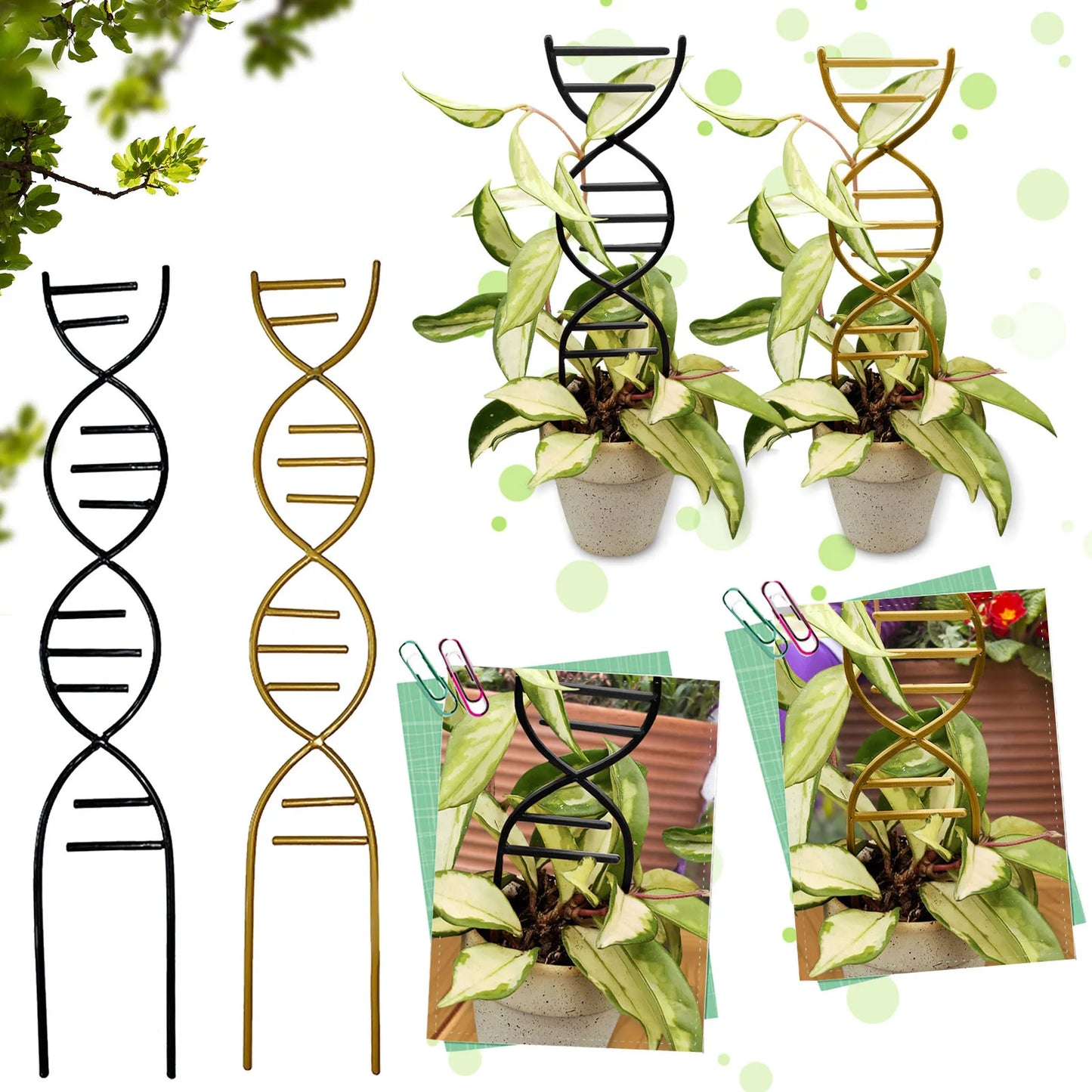 Metal DNA Plant Trellis – Climbing Vine & Flower Support Stake