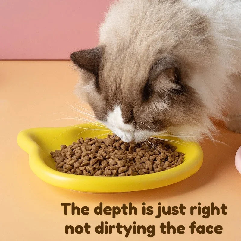 4-Color Cat Food Bowl – Whisker-Friendly Dish for Small Cats