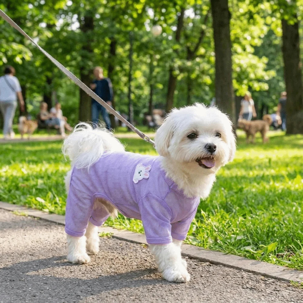 Mesh Dog Sun Vest – Breathable Summer Jacket with D-Ring
