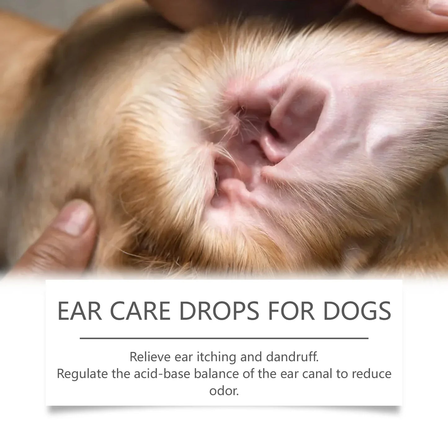 YEGBONG Dog Ear Cleaner Drops – Earwax & Odour Control 60ml