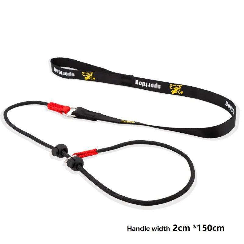 2-in-1 Slip Lead Dog Training Leash & Collar | 150cm Nylon