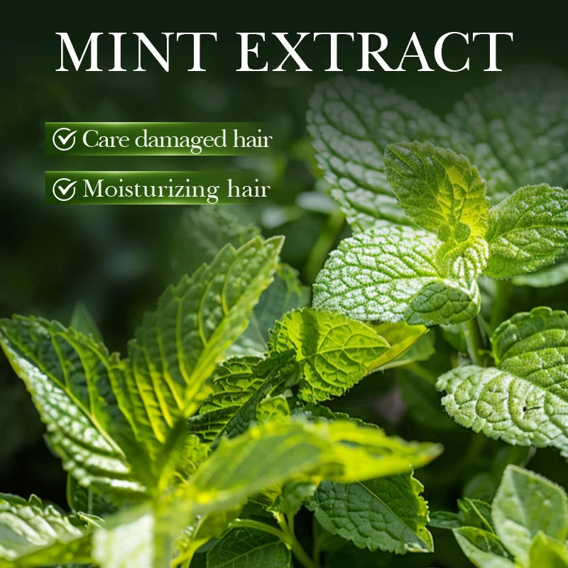 55ml Mint Rosemary Hair Care Essential Oil Hydrate Smooth Repair Hair Damage Strengthen Hair Roots Improve Hair Care Oil Peaceful Pleasures Health and Wellness