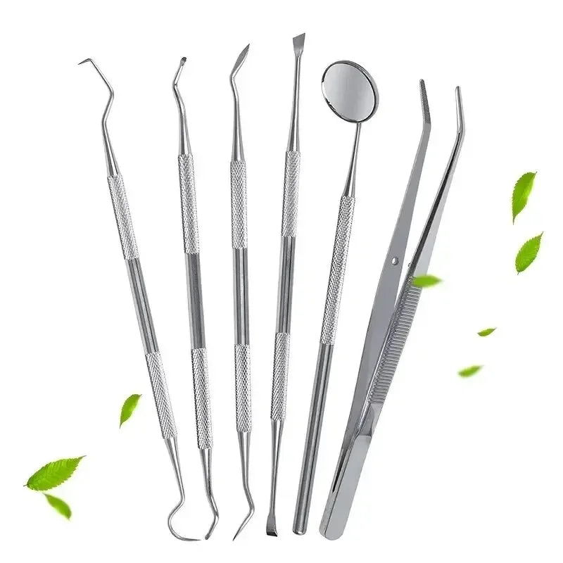 6-Piece Stainless Steel Dental Oral Care Kit | Tartar Removal Tools Dental Care Kit Peaceful Pleasures Health and Wellness 6PCs