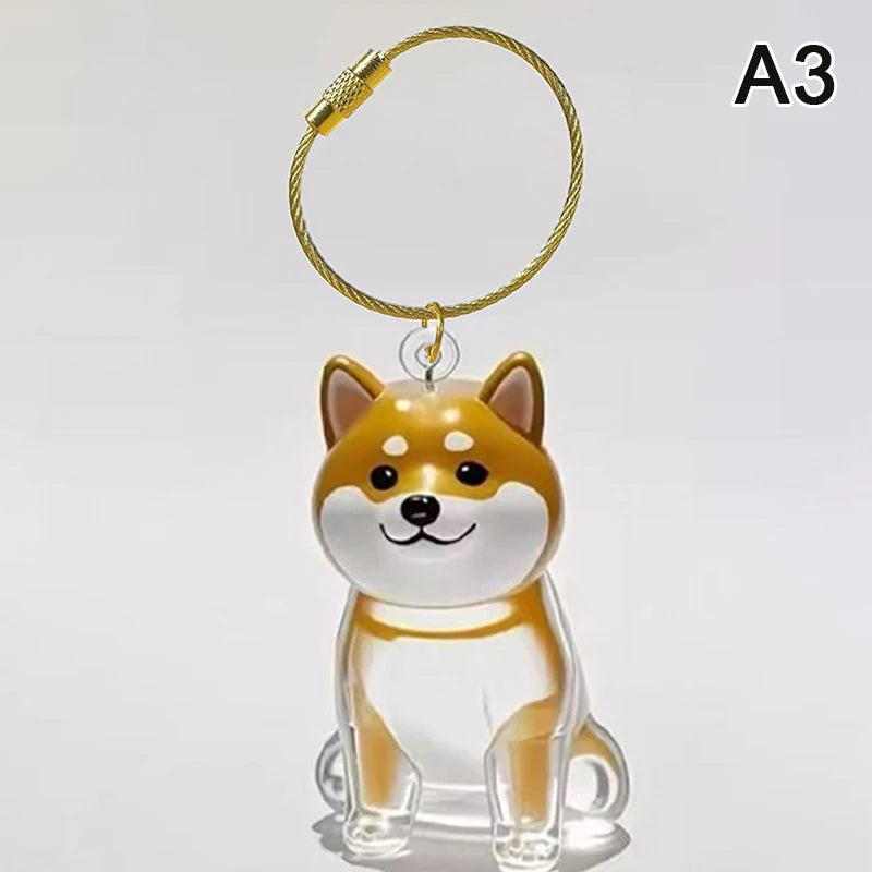 Clear Dog Fur Keepsake Keychain – DIY Pet Memorial Gift