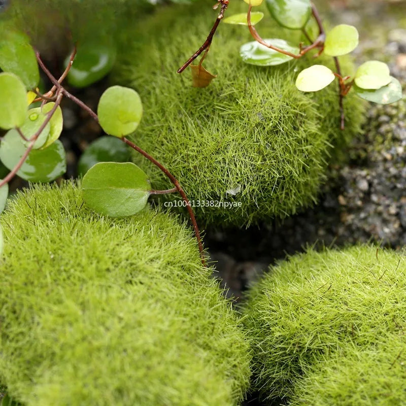Artificial Moss Ball Fake Stone Simulation Plant Decor