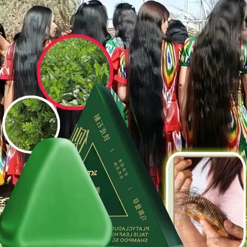Usman Grass & Platycladus Herbal Shampoo Bar | Strengthen Hair
