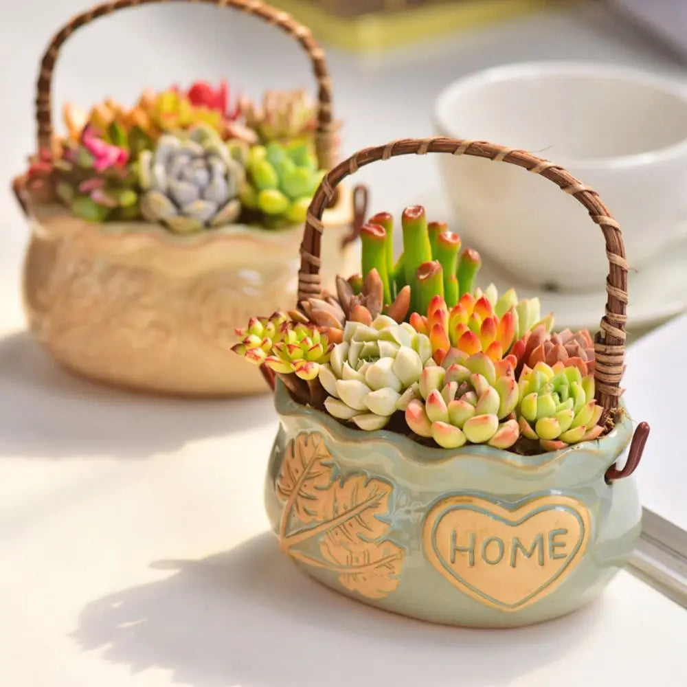 Nordic Ceramic Succulent Planter with Handle | Breathable Pot