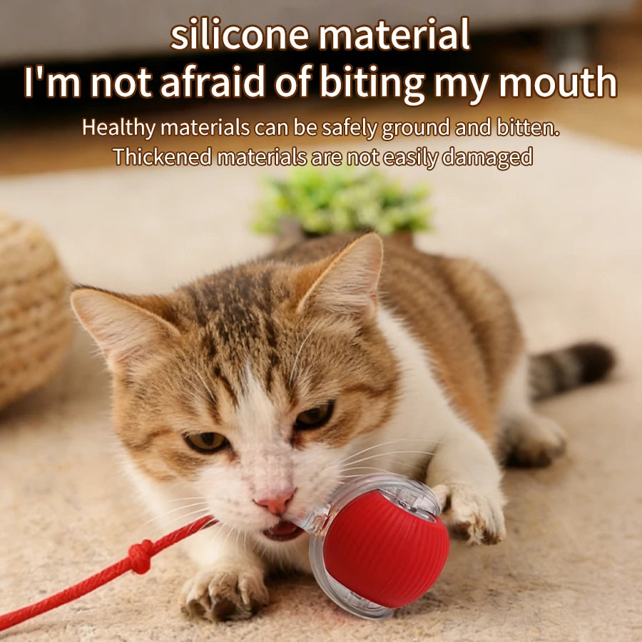 Smart Cat Toys Automatic Rolling Ball Fake Tail Rechargeable Electric Pet Interactive Toy Dog Cat Training Imitate Mouse Tail Peaceful Pleasures Health and Wellness