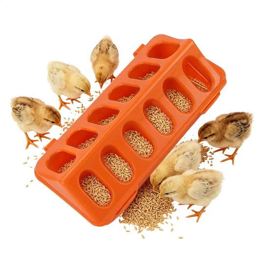 12-Hole Spill-Proof Poultry Feeder for Chicks, Ducks & Birds Poultry Feeder Peaceful Pleasures Health and Wellness