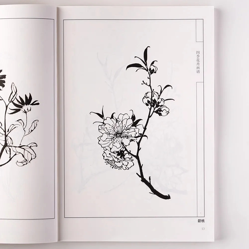 94Pages Flowers All Seasons Chinese Line Drawing Collection Coloring