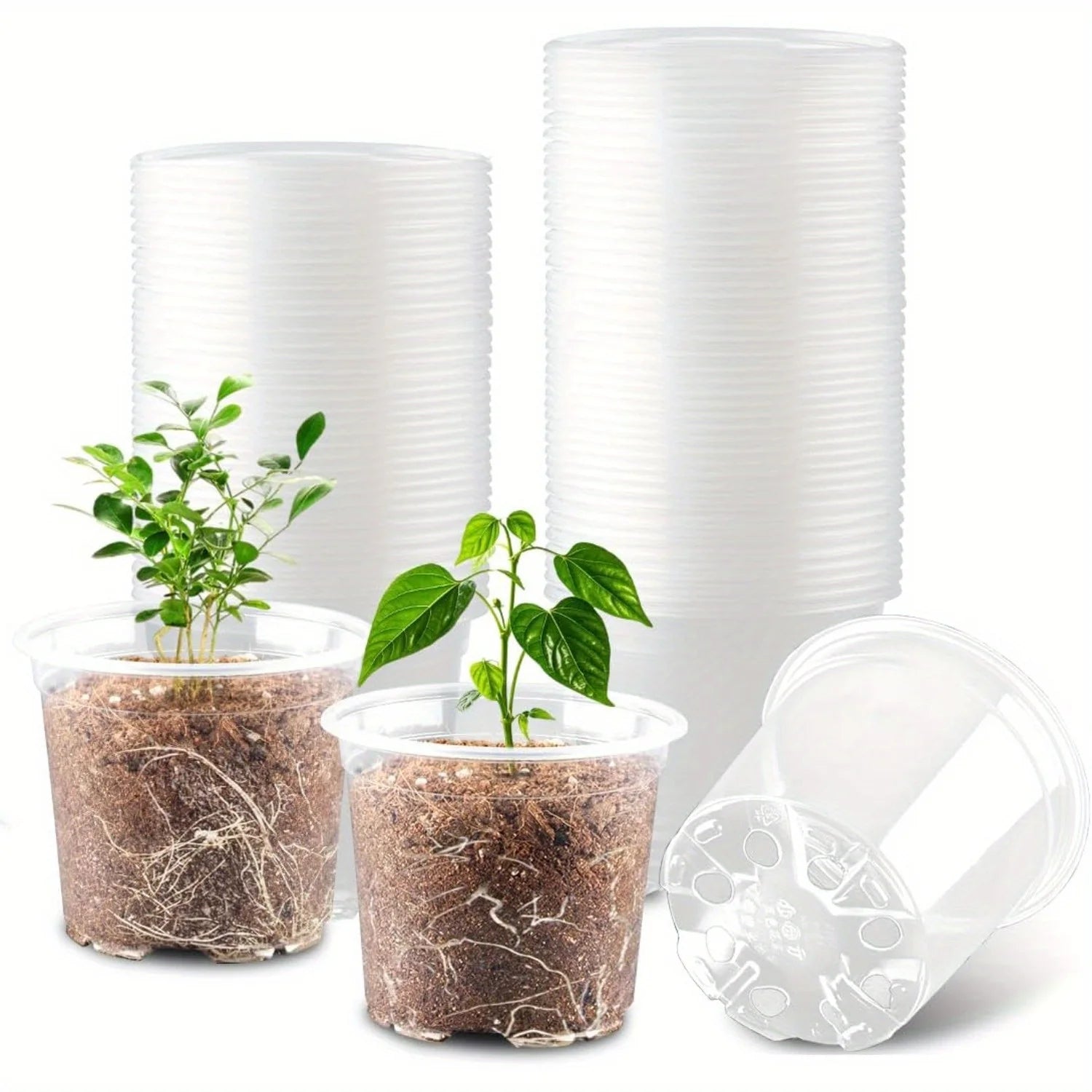 Clear Nursery Pots with Drainage Holes – Transparent Variety Pack Nursery Planter Pots Peaceful Pleasures Health and Wellness