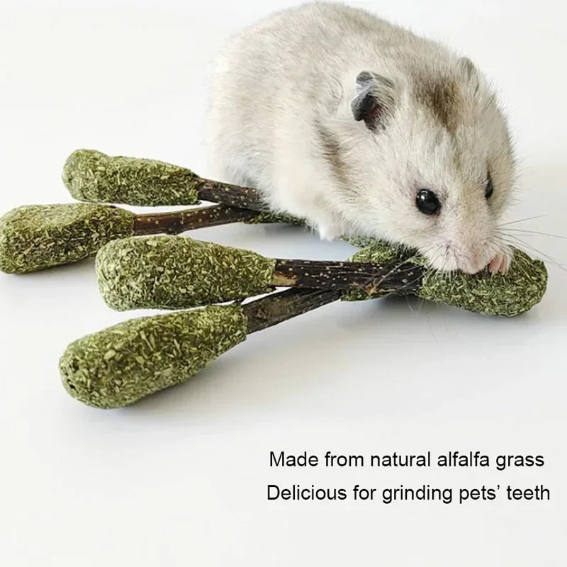 Hamster Wooden Gnawing Toy – Natural Apple Wood & Alfalfa Grass