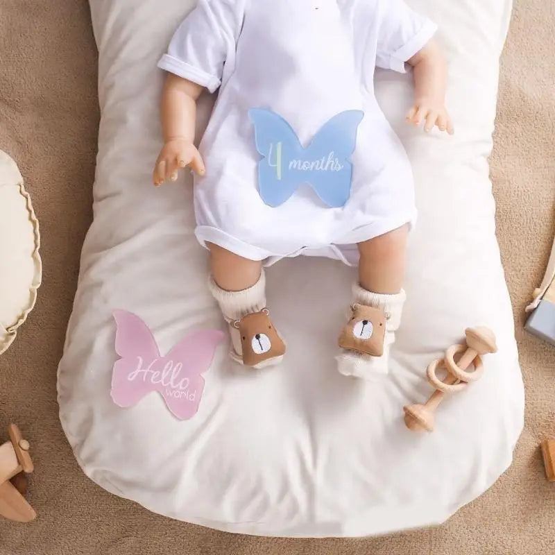 Baby Monthly Milestone Cards 14pc Acrylic Cloud & Butterfly Set
