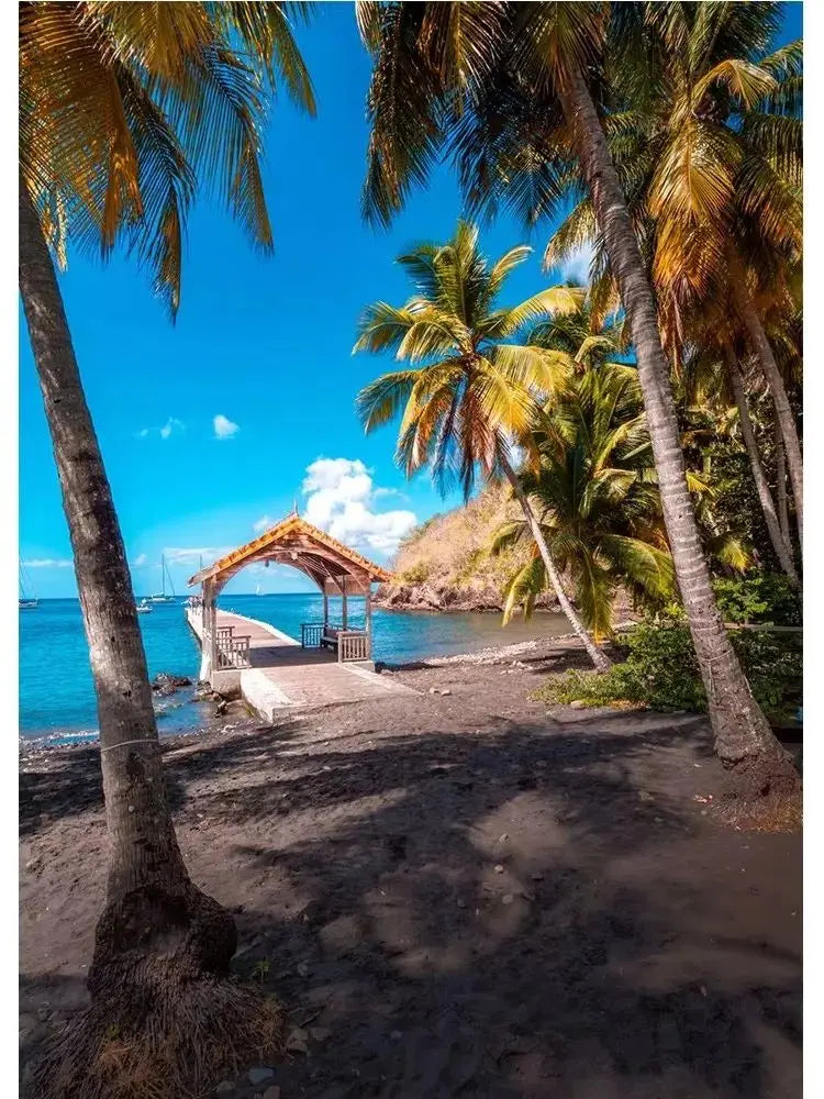 Martinique Beach Ocean Vintage Canvas Wall Art | Unframed Print