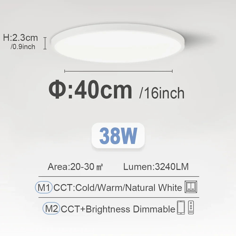 RUNTOIN Dimmable LED Flush Mount Ceiling Light | Ultrathin