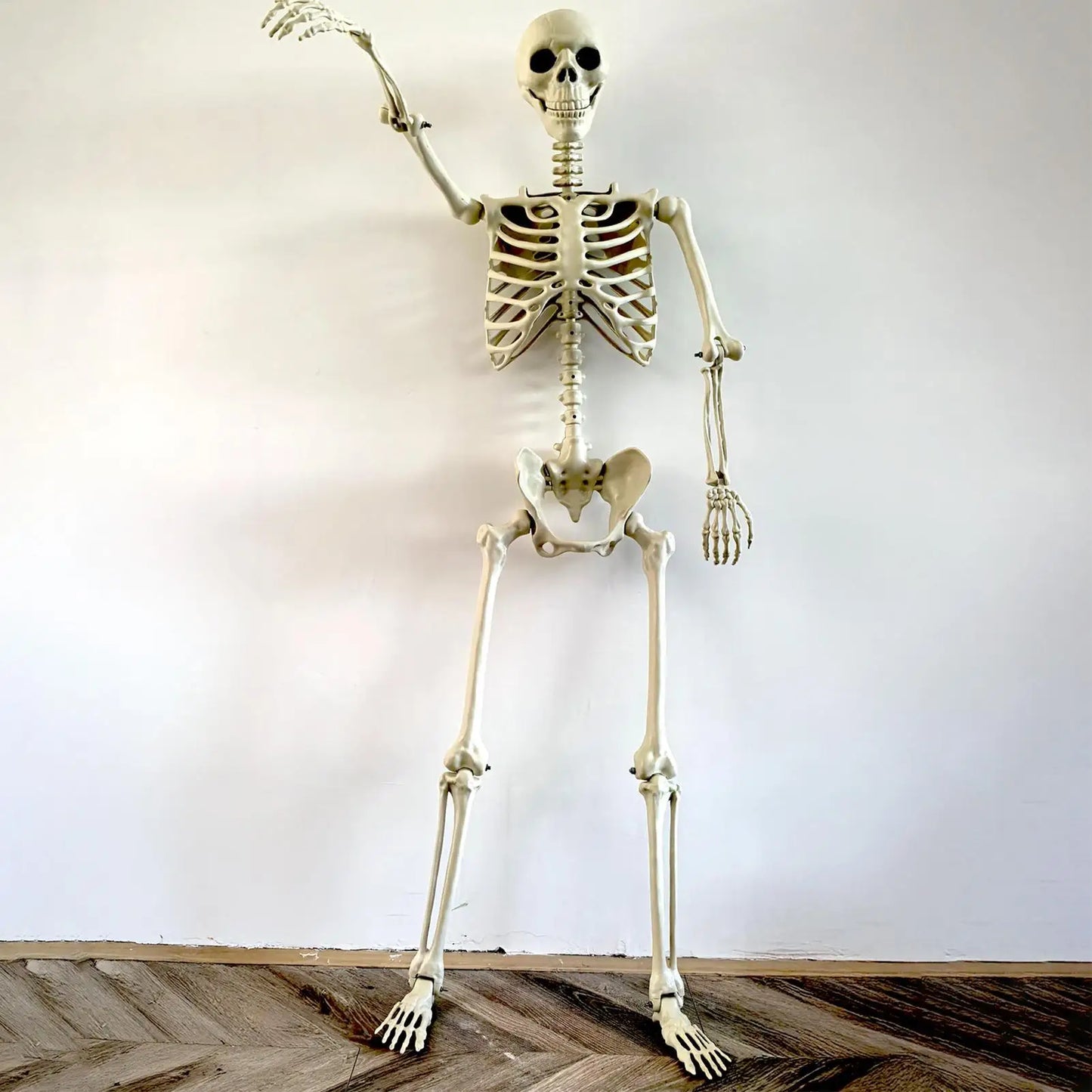 90cm Posable Halloween Skeleton Prop | Haunted House Decor