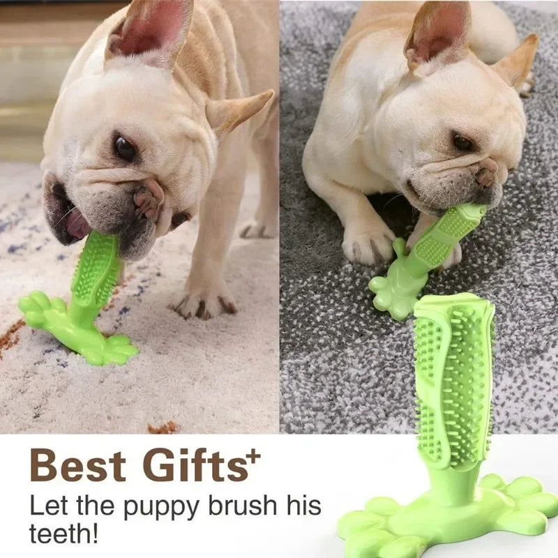 Cactus Dog Chew Toy | Rubber Treat Dispenser & Teeth Cleaner Dog Chew Toy Peaceful Pleasures Health and Wellness