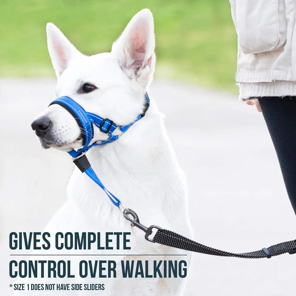 Dog Mouth Muzzle Anti Bark Dog Collar Breathable Dog Training Tool Nylon Muzzle Set With Reflective Strips Summer Pet Leashes Peaceful Pleasures Health and Wellness