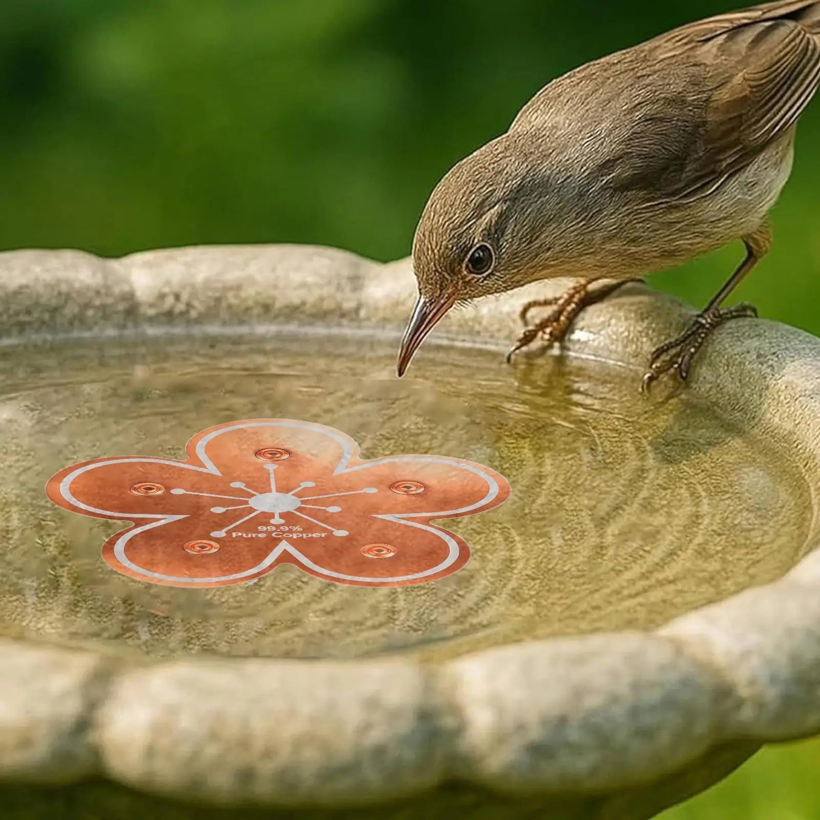 Bird Bath Water Purifier Copper Purification All-Season Physical Safe Copper Disk Bird Bath Insert for Homeowners Gardeners Peaceful Pleasures Health and Wellness