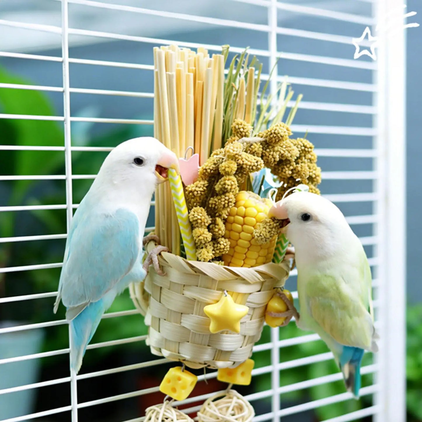 Foraging Chew Toys for Parrots, Lovebirds & Finches