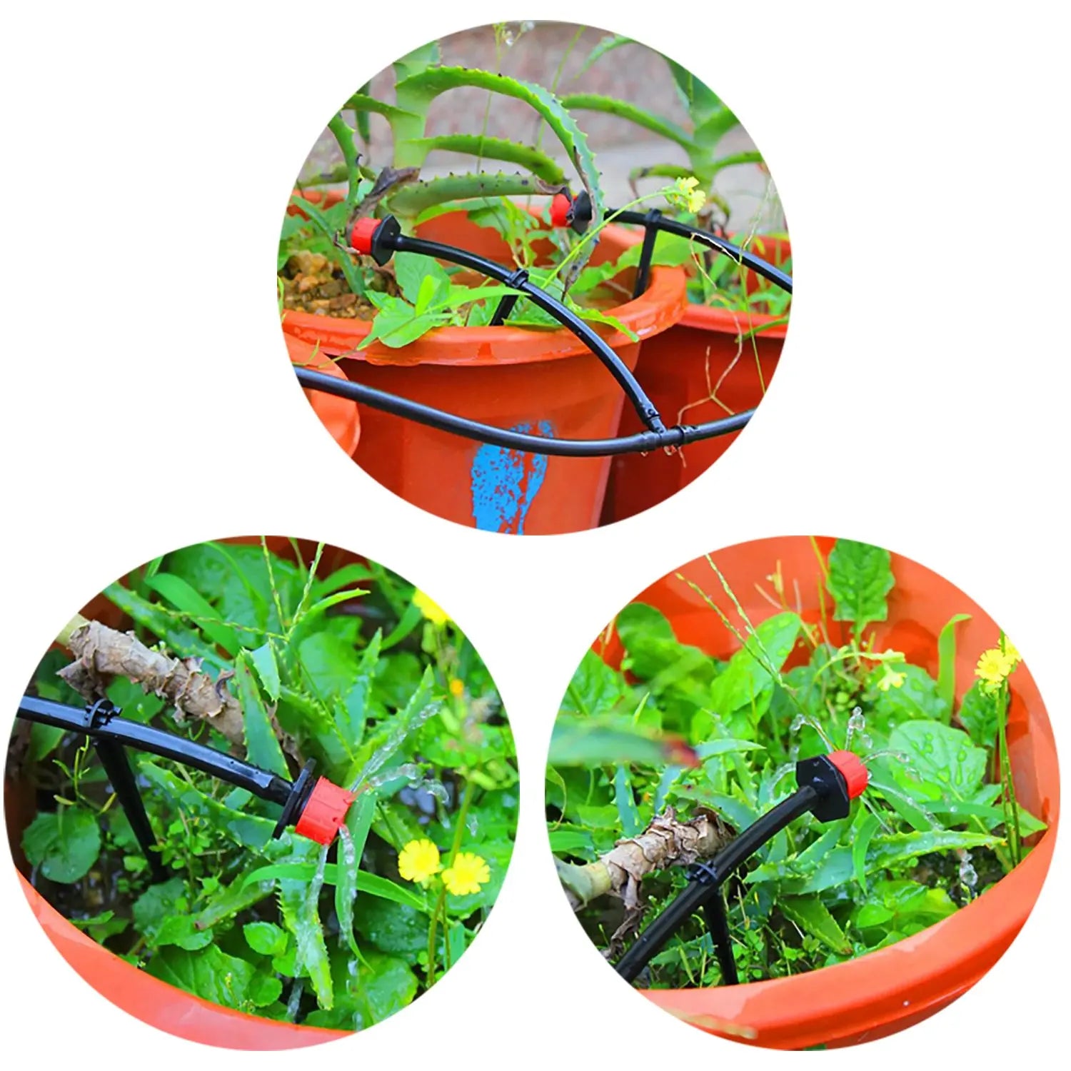 50Pcs Irrigation Drip Support Stakes C- Shape Fixed Stems Holder Bracket for 4/7mm Drip Irrigation Pipe Inserting Ground Peaceful Pleasures Health and Wellness