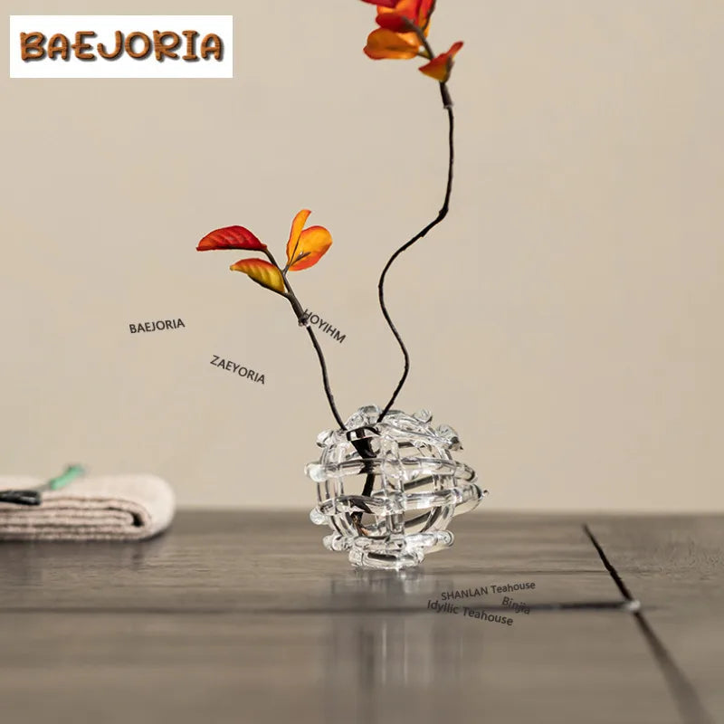 BAEJORIA Glass Ball Vase | Hydroponics Flower Pot & Tea Decor
