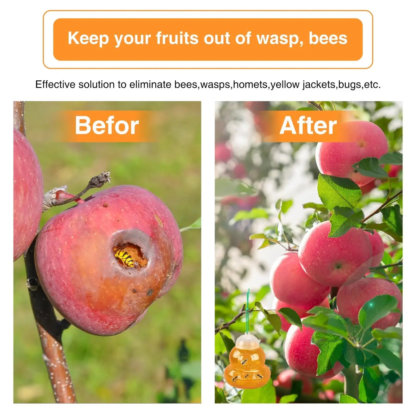 Wasp Trap Outdoor Reusable Portable Wasp Catcher Non-toxic Pest Control Garden Multi-hole Bee Trap for Home Farm Yard Supplies Peaceful Pleasures Health and Wellness
