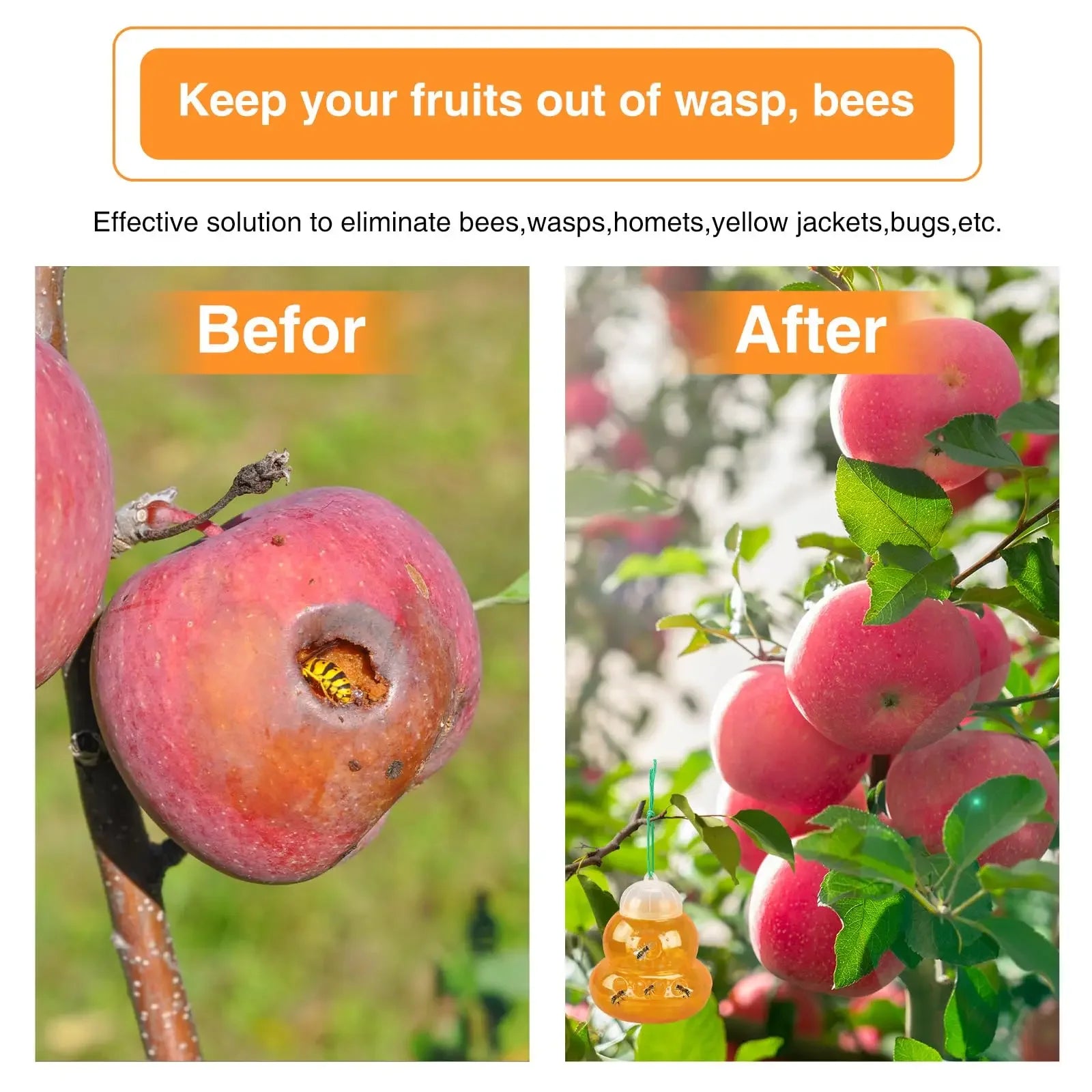 Wasp Trap Outdoor Reusable Portable Wasp Catcher Non-toxic Pest Control Garden Multi-hole Bee Trap for Home Farm Yard Supplies Peaceful Pleasures Health and Wellness