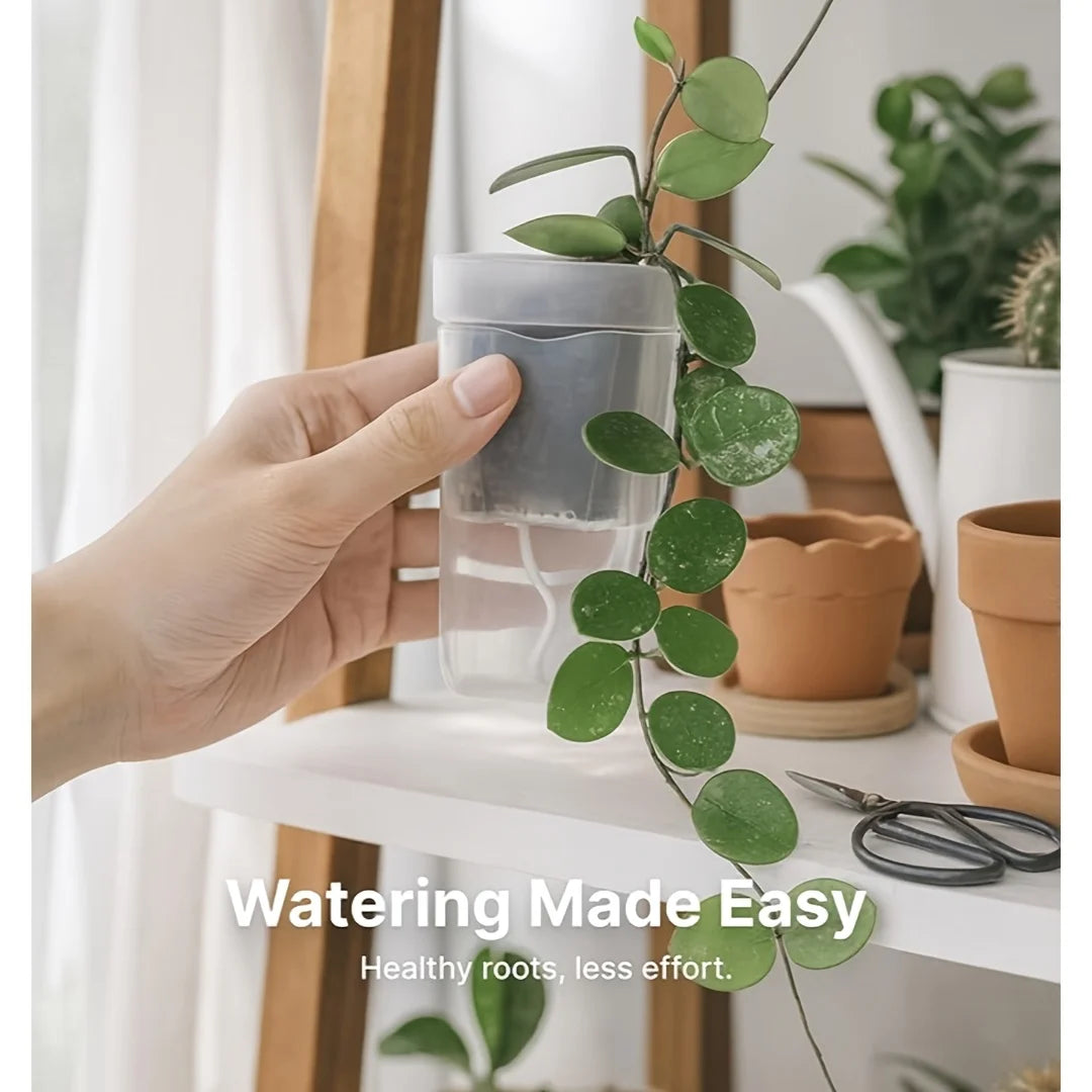 Self Watering Pots for Indoor Plants – Clear Plastic Planters