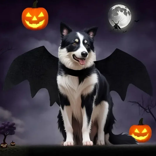Halloween Bat Wing Pet Costume for Cats & Small Dogs Pet Halloween Costume Peaceful Pleasures Health and Wellness