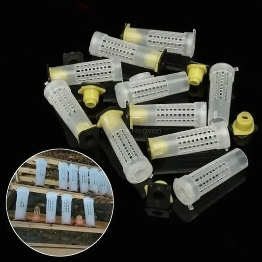 Beekeeping Bee Plastic Queen Rearing Cage Cup Box Protection Cover Peaceful Pleasures Health and Wellness