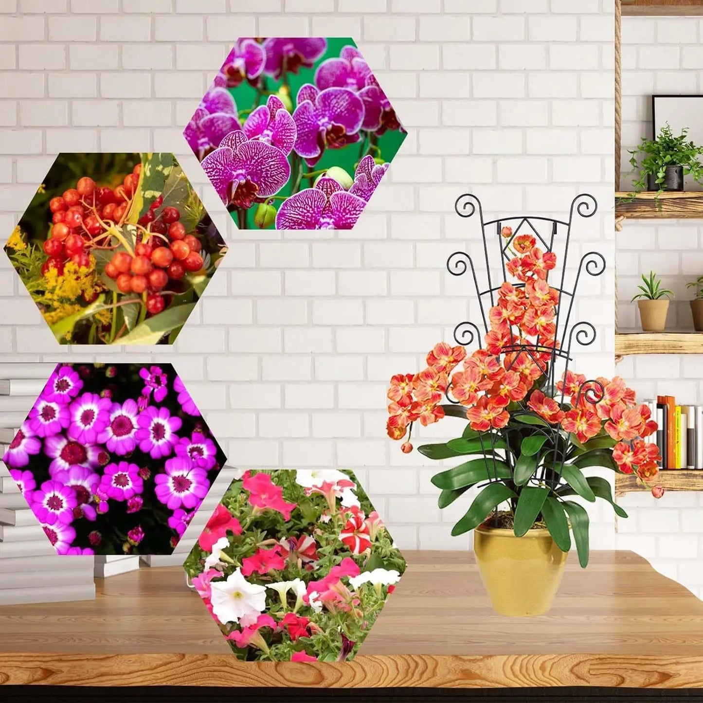 Trellis For Climbing Plants Indoor Garden Metal Plant Support Clematis Stakes For Indoor Outdoor Balcony Vines Pothos Monstera Peaceful Pleasures Health and Wellness