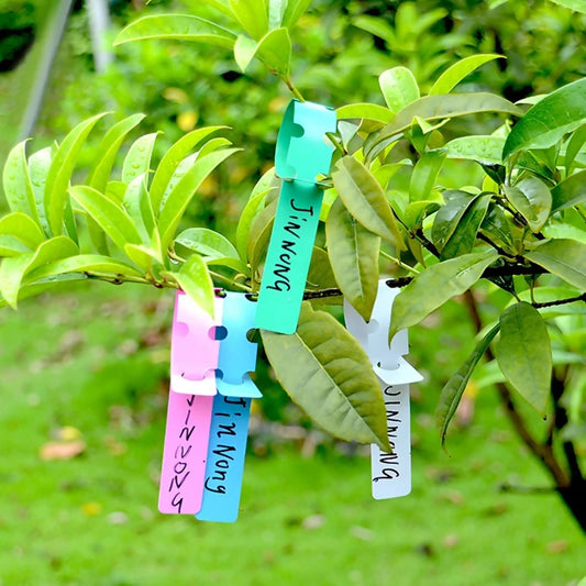 100PCS PVC Plant Labels Waterproof Garden Marking Tags for Flowers Seedlings Orchid Circular Buckle Horticultural Peaceful Pleasures Health and Wellness