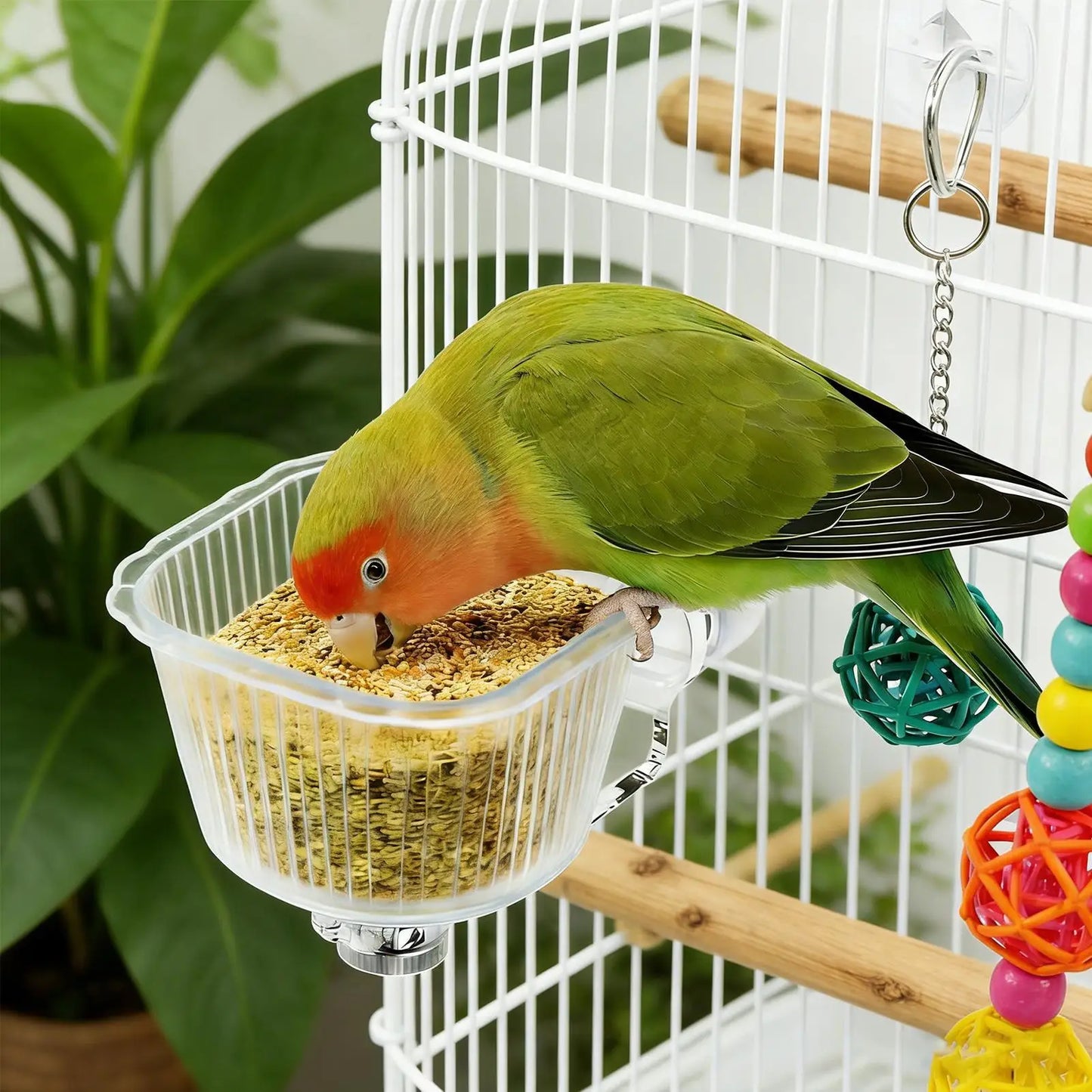 Clear Anti-Tip Bird Feeder Cage Bowl | Parakeet Cockatiel