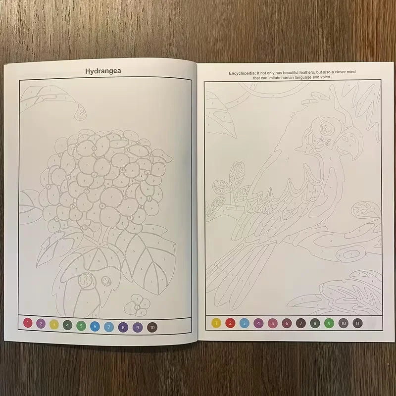 Concentration Training Coloring Book Kids Pattern Pages Stress Relief