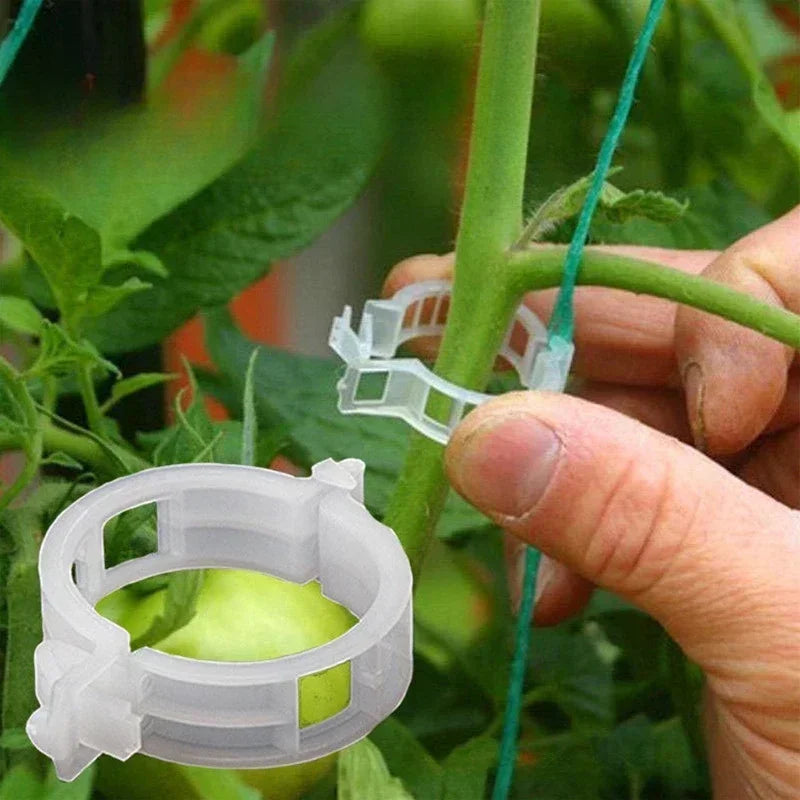Plant Clips Supports Reusable Plastic Connects Fixing Vine Tomato Stem Grafting Vegetable Plants Orchard and Garden Tools Peaceful Pleasures Health and Wellness