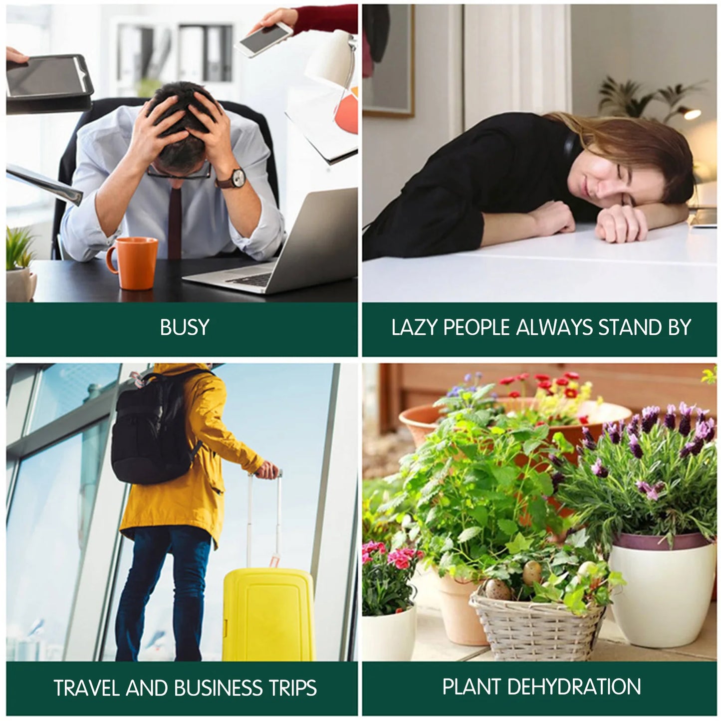 500ml Automatic Plant Waterer Automatic Water Seepage Lasts Days for Busy Travelers Plant Lovers Peaceful Pleasures Health and Wellness