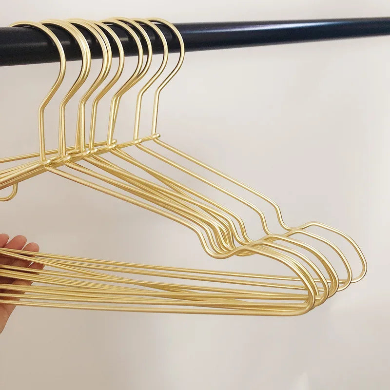10pcs Silver/Gold Hanger For Clothes Aluminum Alloy Durable Clothes Hanger For Coats Skirts Pants Dress Peaceful Pleasures Health and Wellness