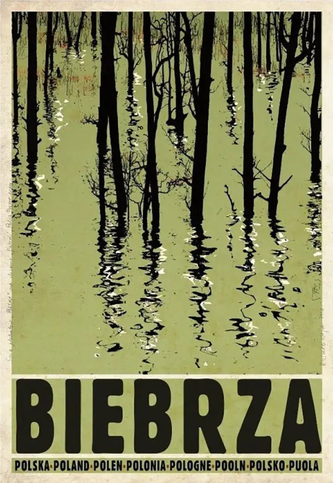 Retro Poland Podhale Kocie Góry Canvas Wall Art Print | Unframed