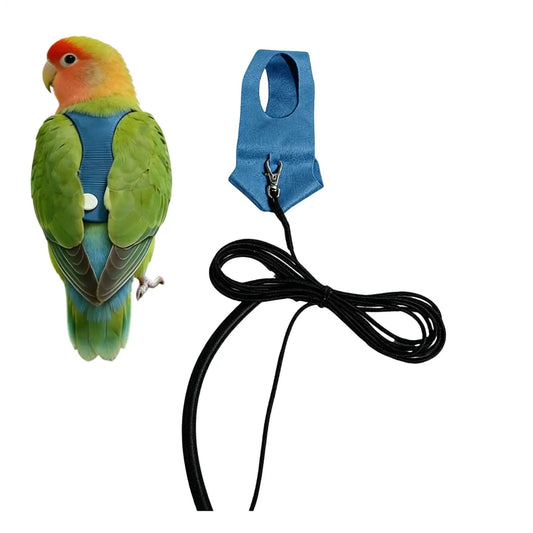 Bird Harness & Leash Kit Parakeet Flying Training Rope Traction Straps for Walking Outdoor, Backyard Park Beach Hiking Peaceful Pleasures Health and Wellness